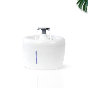 Minimalistic Drinking Fountain Pet Bowls, Feeders & Waterers KittyNook